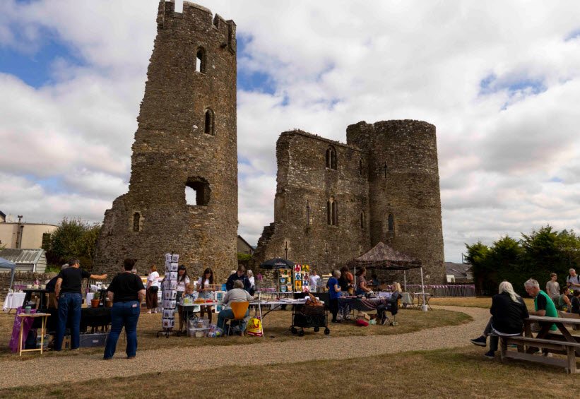 Ferns Castle, Ferns, County Wexford, Ireland, Ireland